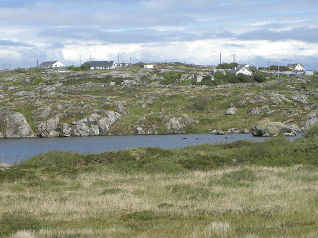 A corner of Ballynakill Lough © Gordon Hatton cc-by-sa/2.0 :: Geograph ...