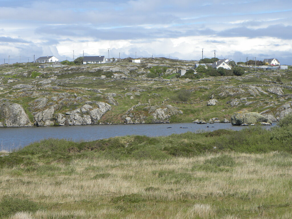 A corner of Ballynakill Lough © Gordon Hatton cc-by-sa/2.0 :: Geograph ...