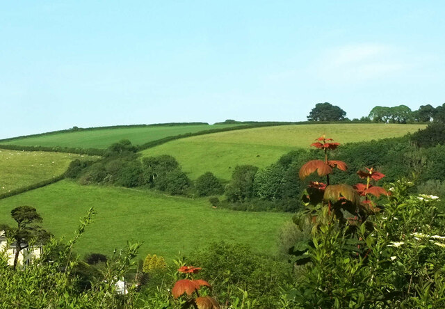 Hillside above Home Farm © Derek Harper cc-by-sa/2.0 :: Geograph ...