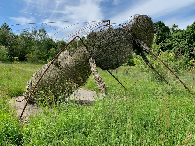 Bee sculpture at Harlow Carr © Paul Harrop :: Geograph Britain and Ireland