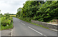 The Windyhill Road at Lisnagrib