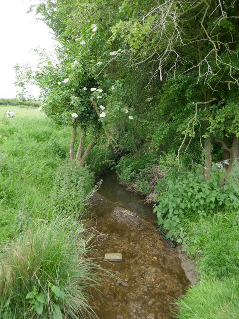 Brook near Hoby © Jonathan Thacker cc-by-sa/2.0 :: Geograph Britain and ...