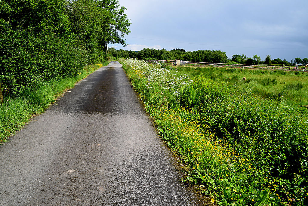 Rushill Road © Kenneth Allen :: Geograph Britain and Ireland