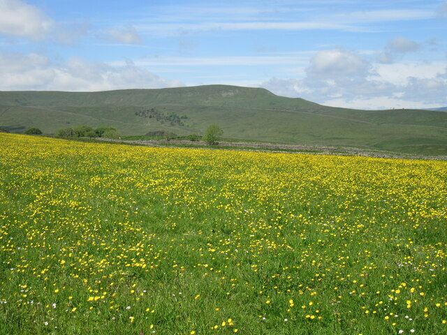 Looking towards Sandy Hill © T Eyre cc-by-sa/2.0 :: Geograph Britain ...