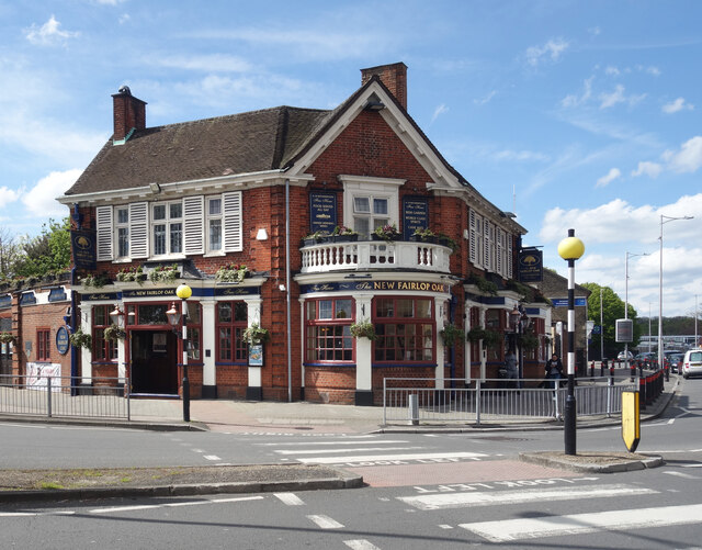 The New Fairlop Oak © Des Blenkinsopp cc-by-sa/2.0 :: Geograph Britain ...