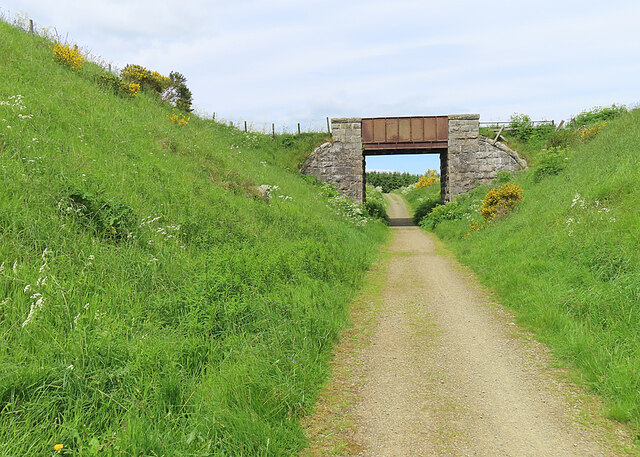 Railway Cutting © Anne Burgess :: Geograph Britain and Ireland