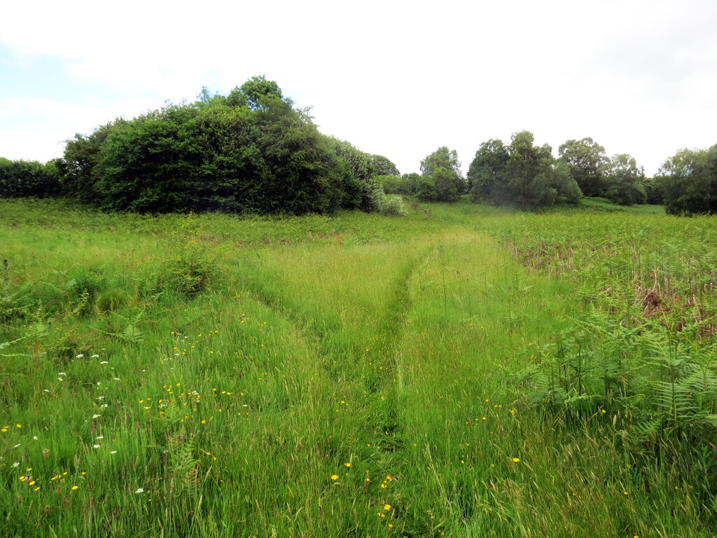 Cyffordd o lwybrau / Junction of paths © Alan Richards :: Geograph ...