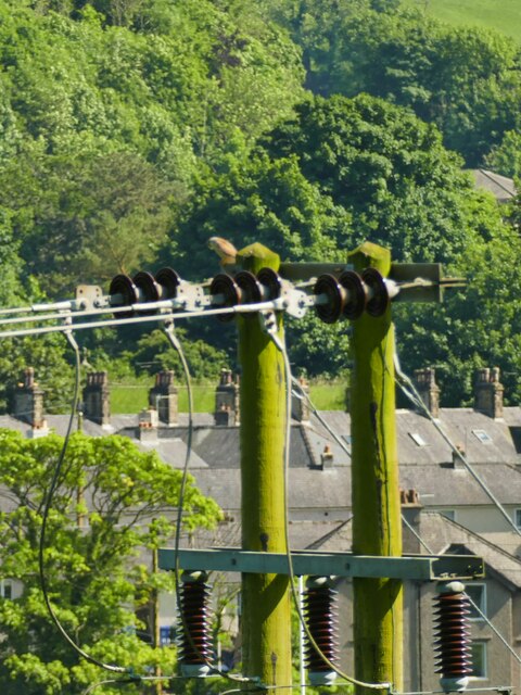 Kestrel on an electricity pole © Stephen Craven :: Geograph Britain and ...