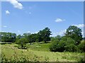 Site of Old Pond Copse