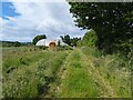 Polytunnel alongside public bridleway