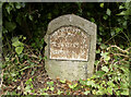 Old Milestone by the A525, south of Llanfair Dyffryn Clwyd