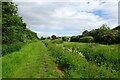 Footpath and Westfield Beck