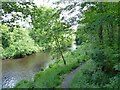 River Tame