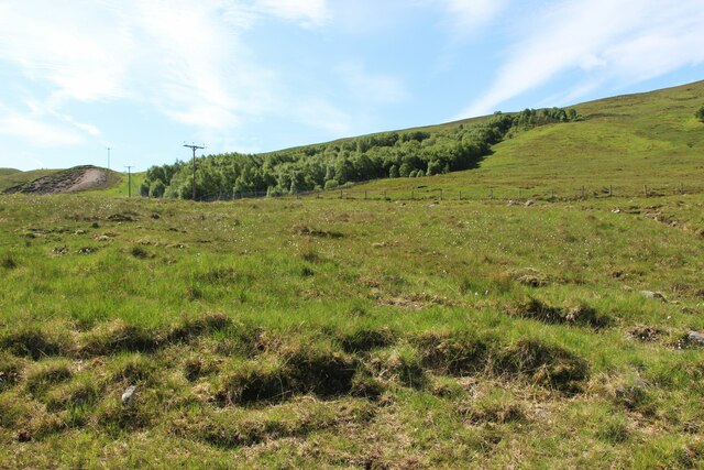 Slopes of Carn Dubh © Alan Reid :: Geograph Britain and Ireland