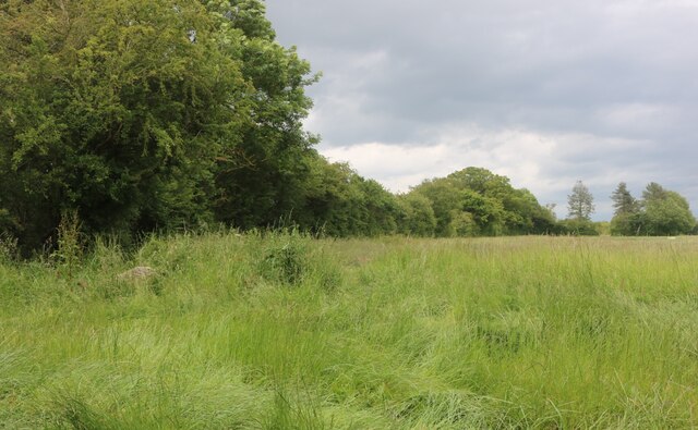 Field by White's Spinney © David Howard :: Geograph Britain and Ireland