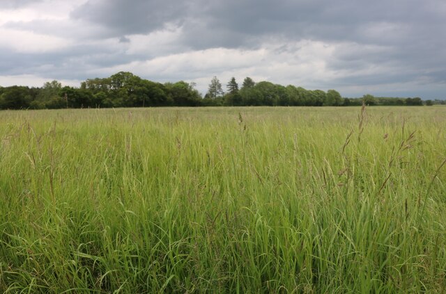 Field by White's Spinney © David Howard cc-by-sa/2.0 :: Geograph ...