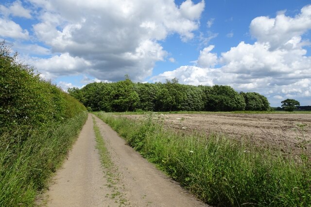 Potter's Lane approaching Winter's... © DS Pugh :: Geograph Britain and ...