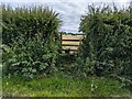 Public footpath stile