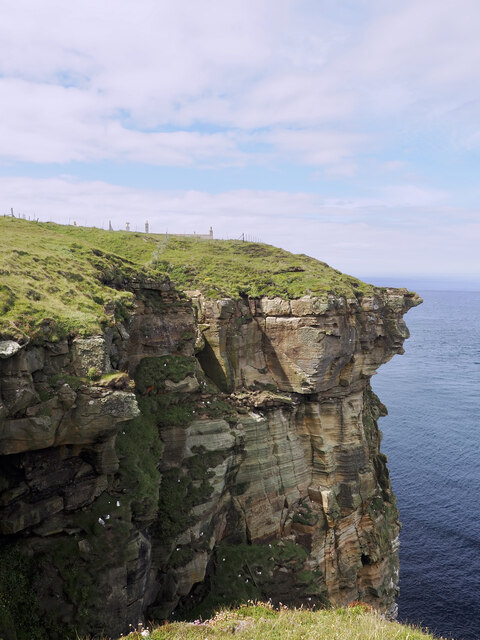 Nesting seabirds at Dunnet Head © Trevor Littlewood cc-by-sa/2.0 ...