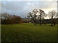 Farmland and mast from the Ribble Way near Chatburn