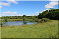 Pond near Thornton