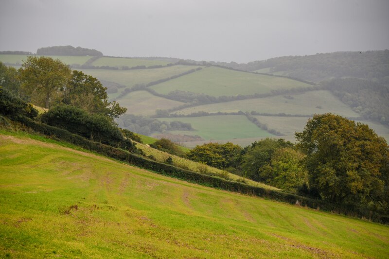 Withycombe : Grassy Field © Lewis Clarke cc-by-sa/2.0 :: Geograph ...