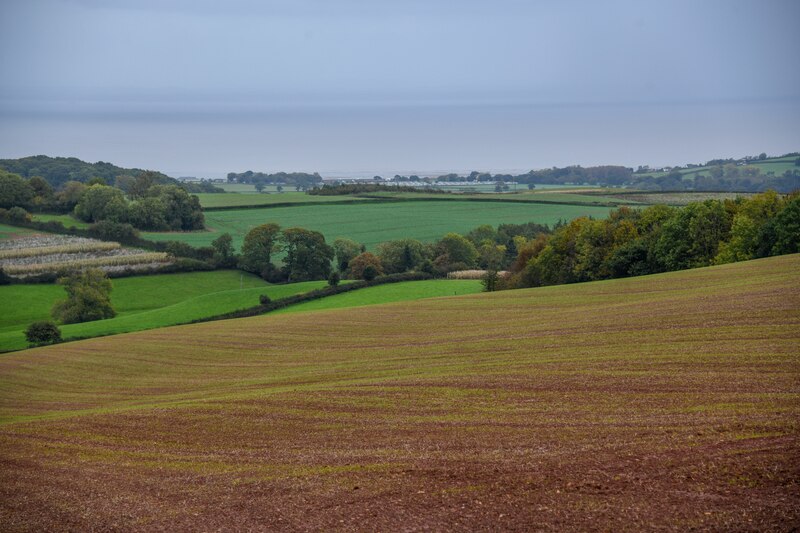 Withycombe : Countryside Scenery © Lewis Clarke cc-by-sa/2.0 ...