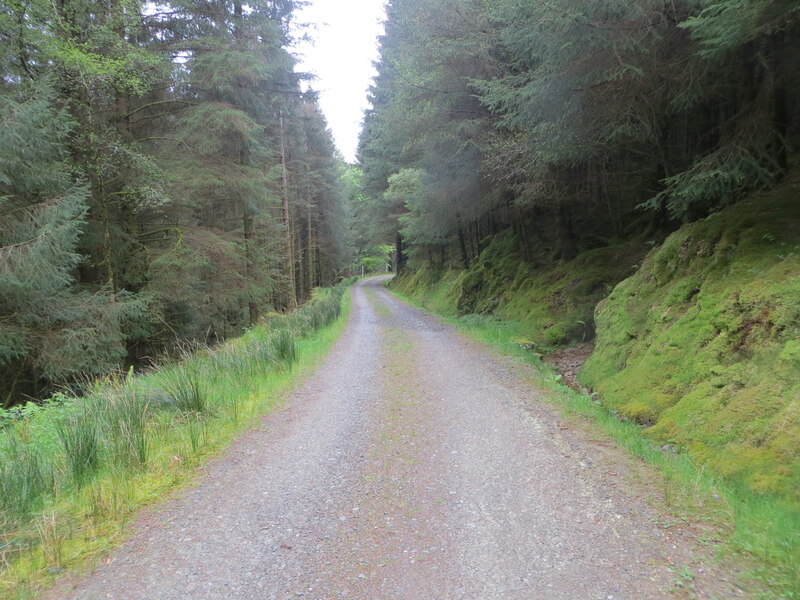 Forest track near Barnacabber © Peter Wood cc-by-sa/2.0 :: Geograph ...