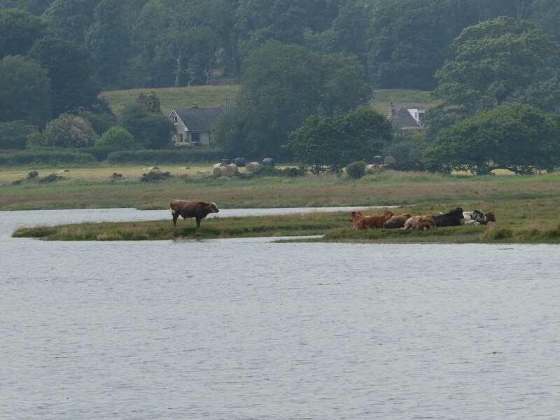 Farmland at Kirkcudbright © Billy McCrorie cc-by-sa/2.0 :: Geograph ...