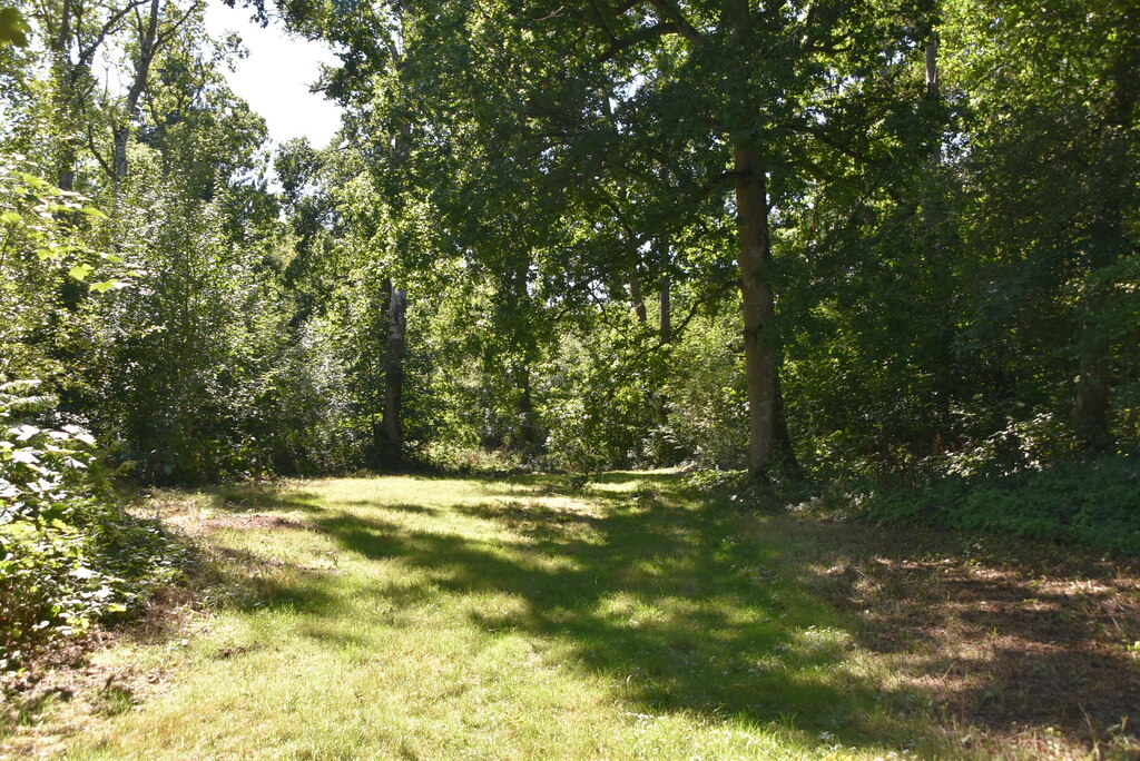 Badlesmere Park Wood © N Chadwick cc-by-sa/2.0 :: Geograph Britain and ...