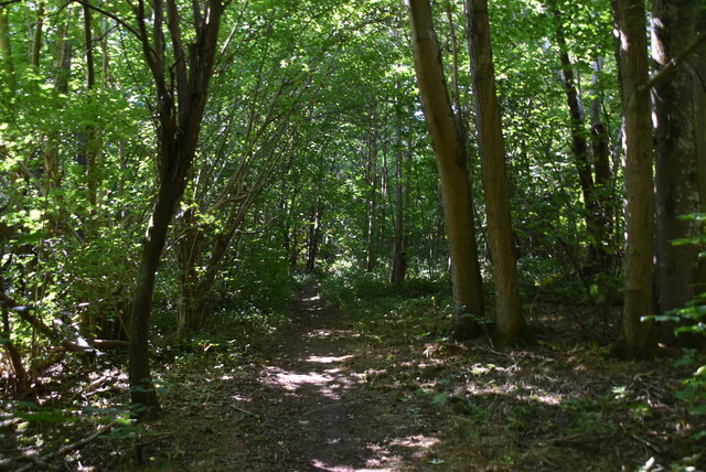 Badlesmere Park Wood © N Chadwick :: Geograph Britain and Ireland