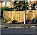 Colourful part of Larch Grove, Malpas, Newport