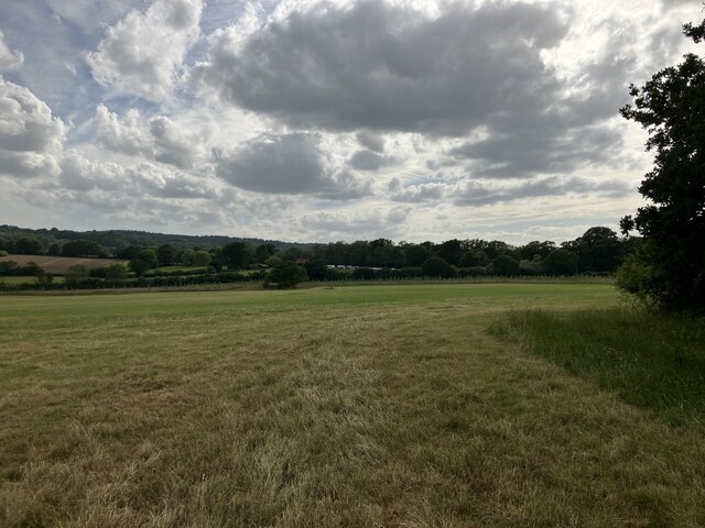 Fields south of Dorking © P Harris :: Geograph Britain and Ireland