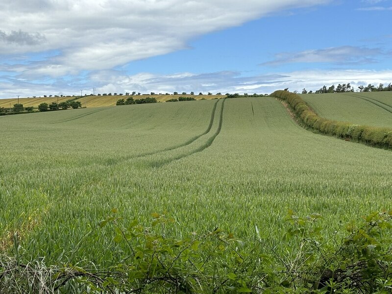 Arable land above the wooded banks of... © David Robinson cc-by-sa/2.0 ...