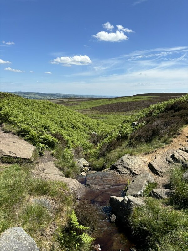 Stream at Gill Head on Ilkley Moor © David Robinson cc-by-sa/2.0 ...