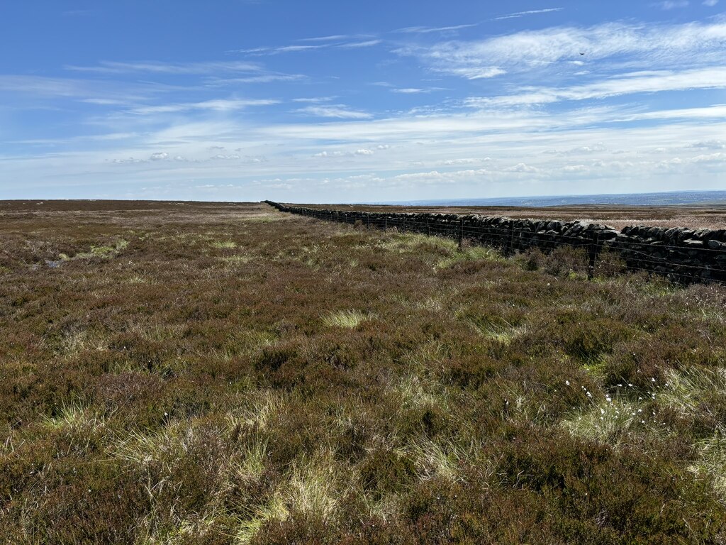 Stone wall crossing Ilkley Moor © David Robinson cc-by-sa/2.0 ...