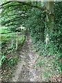 Greensand Way, Dorking