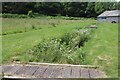 Stream at Stackpole Quay Farm