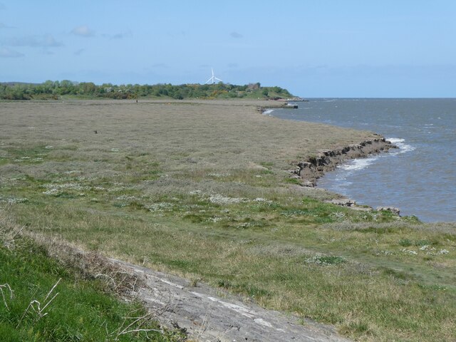 Coastal marshland, Bagillt © David Smith :: Geograph Britain and Ireland