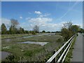 Wetland between railway and A548, Bagillt