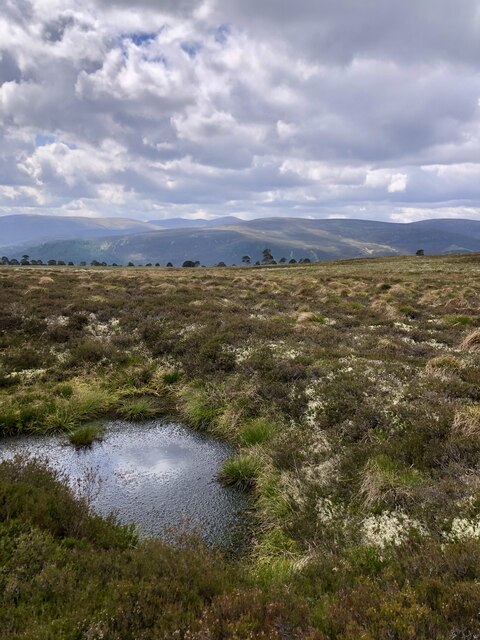 A boggy puddle on Creag Bhalg © Mick Garratt :: Geograph Britain and ...