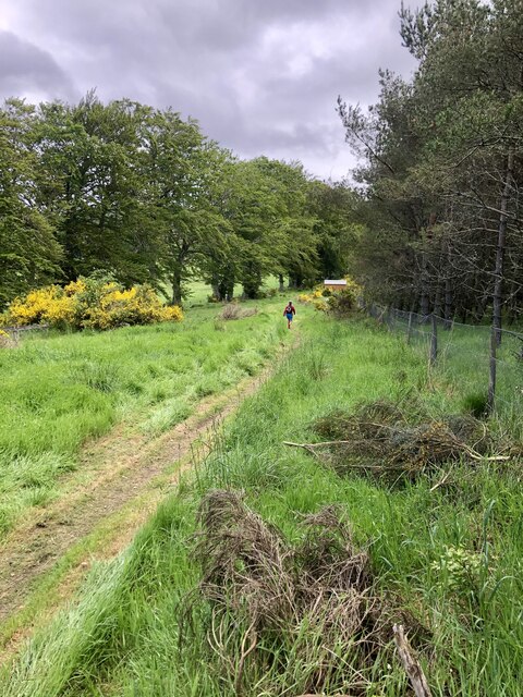 Doune Hill © Mick Garratt cc-by-sa/2.0 :: Geograph Britain and Ireland