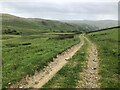 Farm track, Langhope