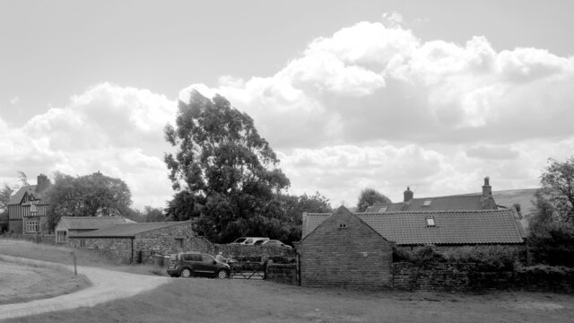 Houses, Goathland © habiloid :: Geograph Britain and Ireland