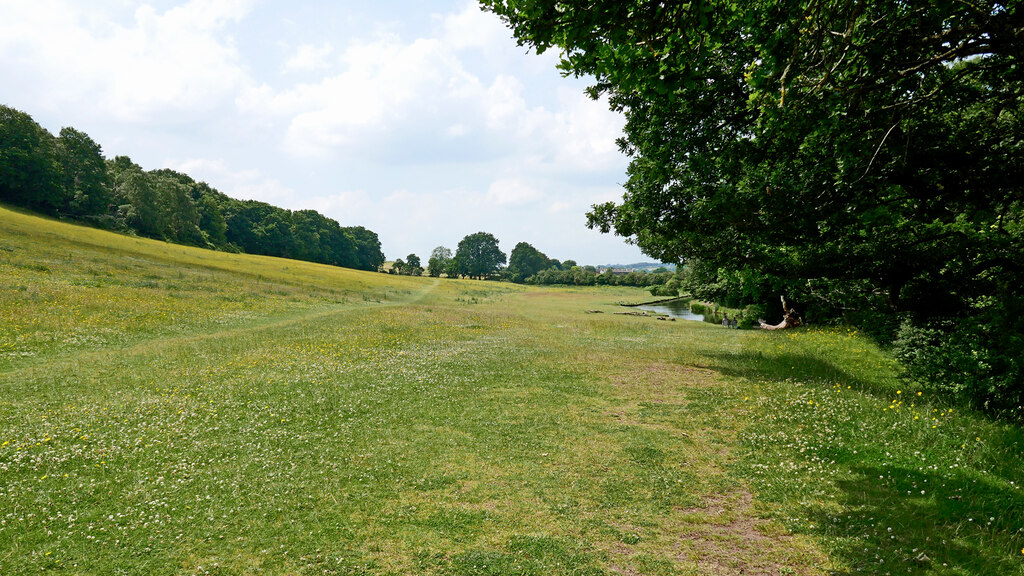 Pasture north-west of Wollaston, Dudley © Roger D Kidd cc-by-sa/2.0 ...