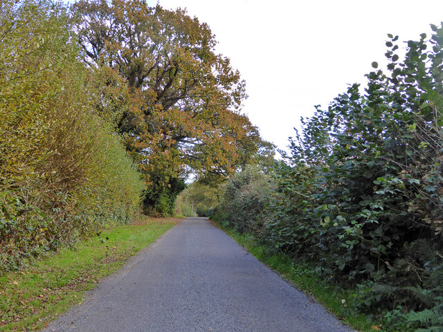 Bennetts Lane © Robin Webster :: Geograph Britain and Ireland