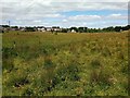 View towards Carstairs Village