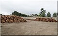 Log stacks by the far end of the Riverside Park Flood Wall