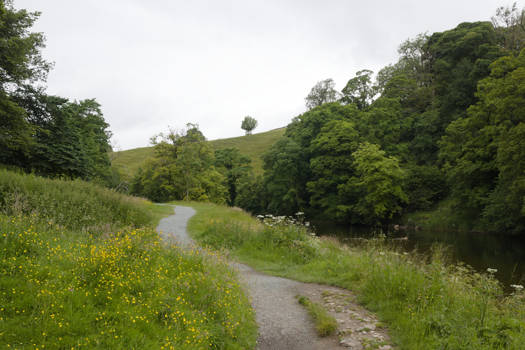 Path by the Wharfe © Mark Anderson cc-by-sa/2.0 :: Geograph Britain and ...