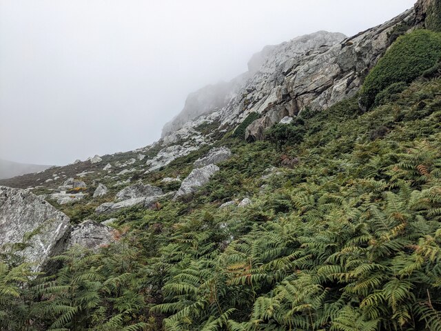 Bracken, rocks and mist © David Medcalf cc-by-sa/2.0 :: Geograph ...